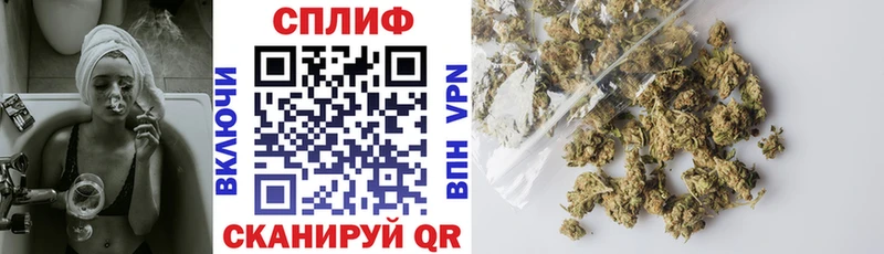 Конопля SATIVA & INDICA  гидра ссылки  Мамоново 